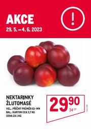 Makro katalog v Praha | Nektarinky | 31. 5. 2023 - 4. 6. 2023