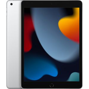 APPLE iPad 10,2 Wi-Fi 64GB Silver akce v 8490Kč v Planeo Elektro